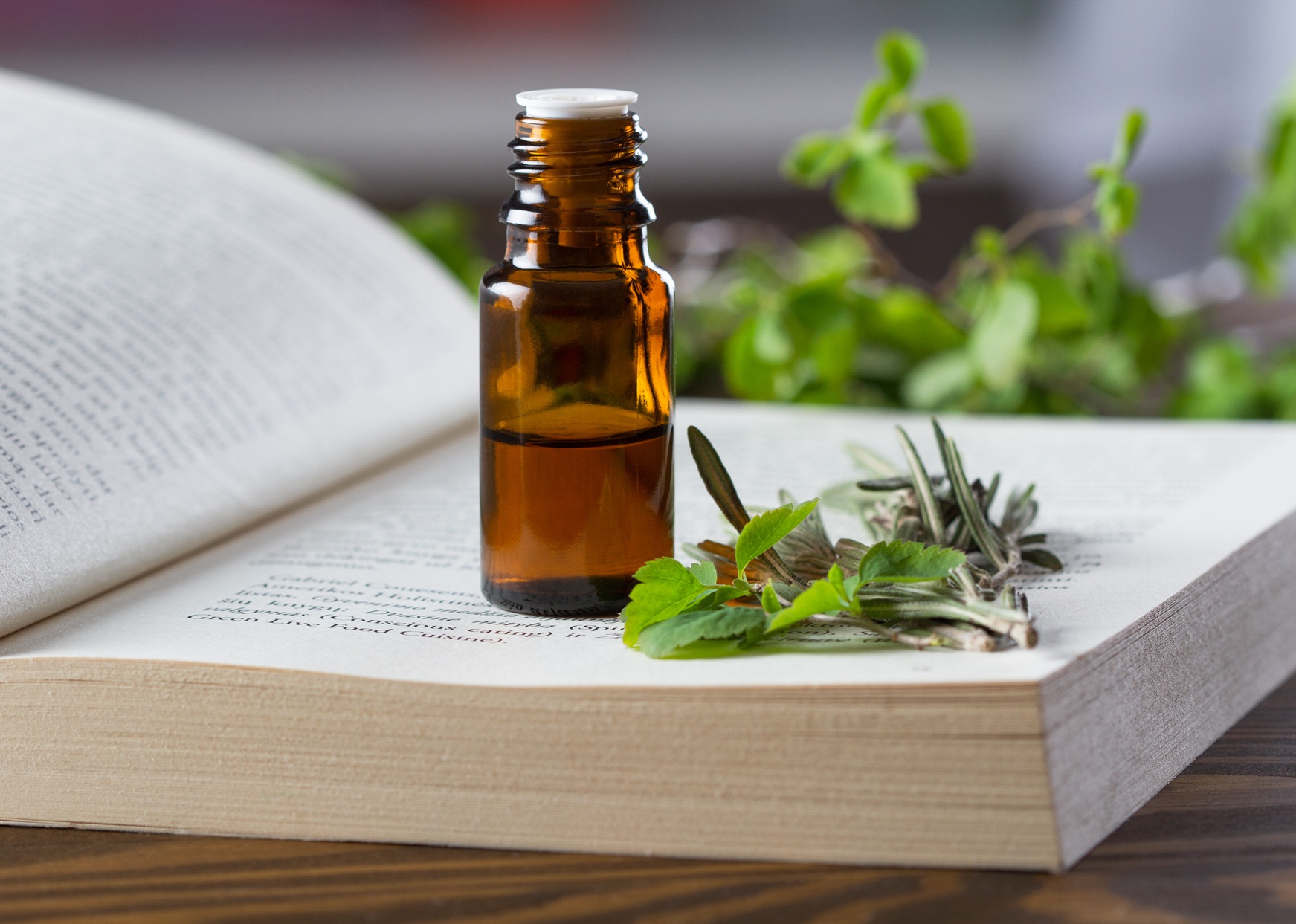 Navigating the regulatory landscape: An essential update for UK and EU herbal practitioners