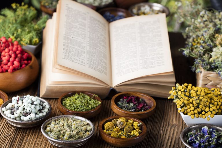 Western herbal classifications glossary
